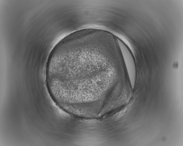 X0000090730999200708101635