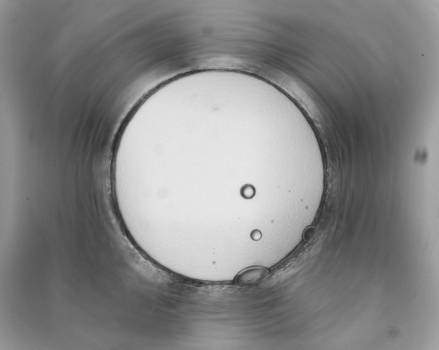 X0000090731000200708101635