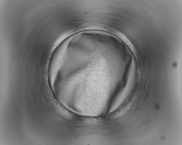 X0000090731002200708101635