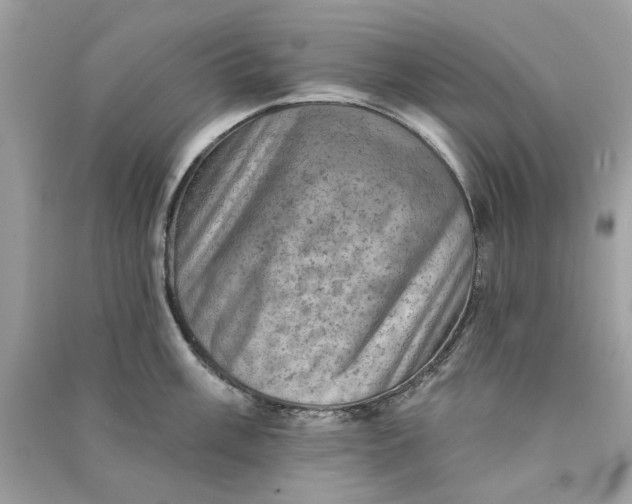 X0000090731003200708101635