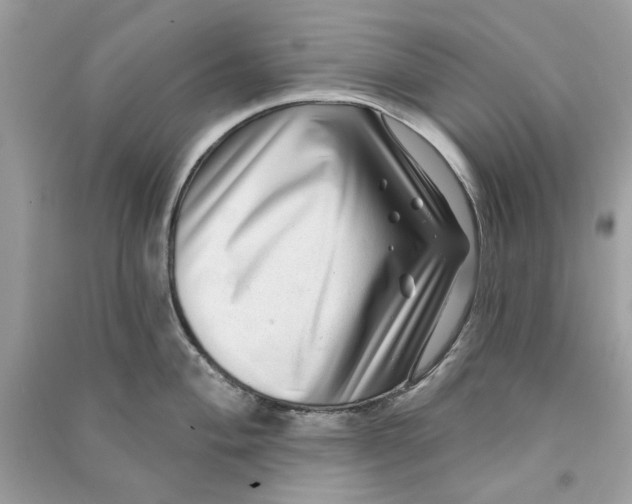 X0000090731004200708101635