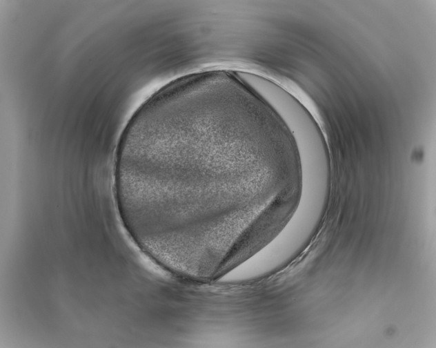 X0000090731005200708101635