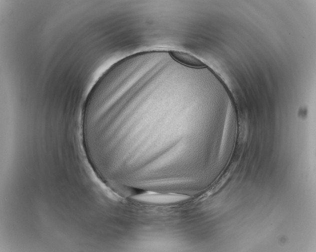 X0000090731006200708101635