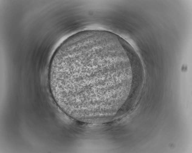 X0000090731008200708101635