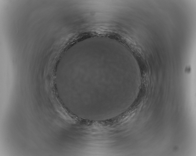 X0000090731009200708101634