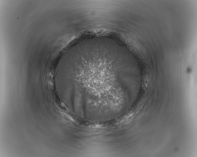 X0000090731010200708101634