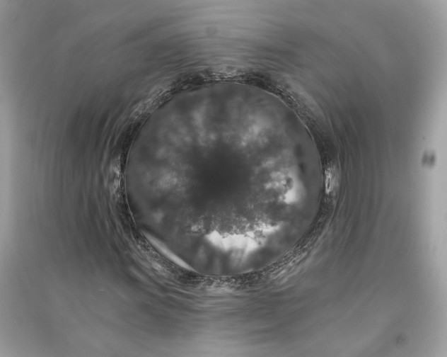 X0000090731011200708101634