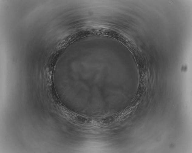 X0000090731013200708101634