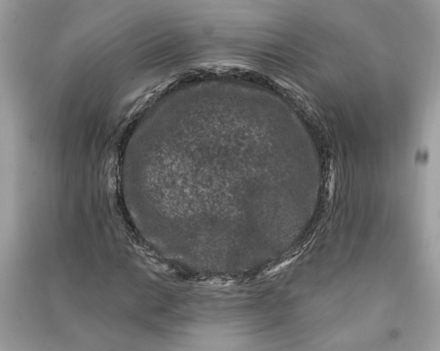 X0000090731014200708101634