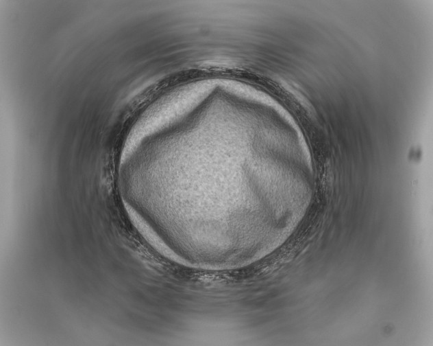 X0000090731015200708101634