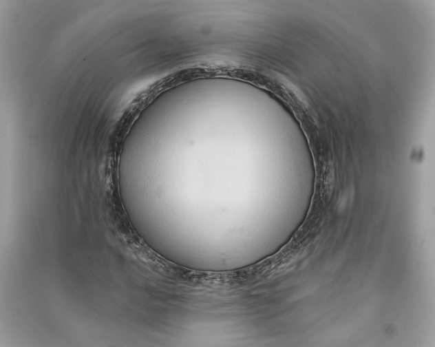 X0000090731016200708101634