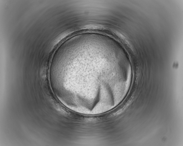 X0000090731017200708101634