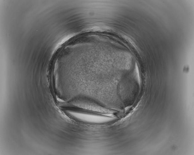 X0000090731018200708101634