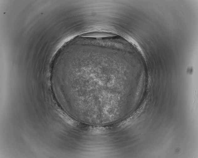 X0000090731019200708101634