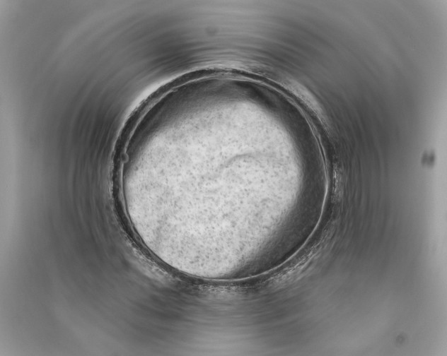 X0000090731020200708101634