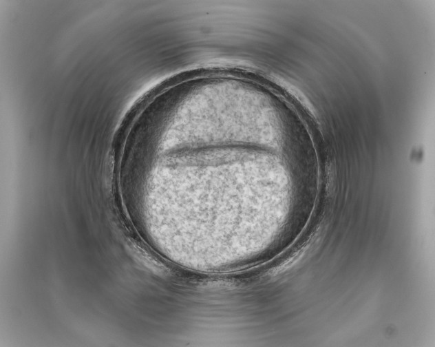 X0000090731021200708101634