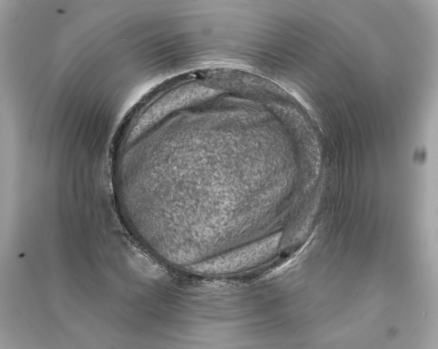 X0000090731022200708101634