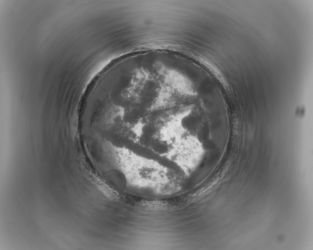 X0000090731023200708101635