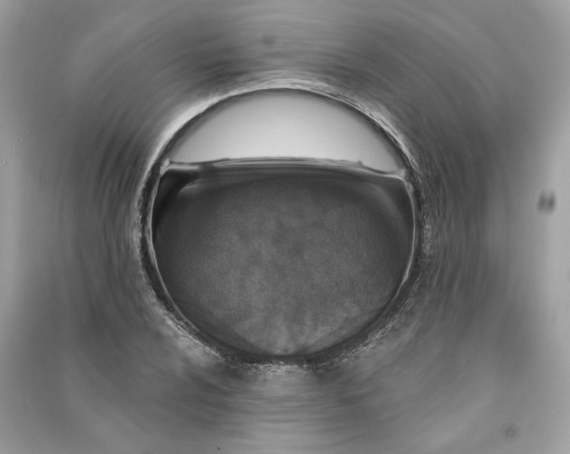 X0000090731024200708101635