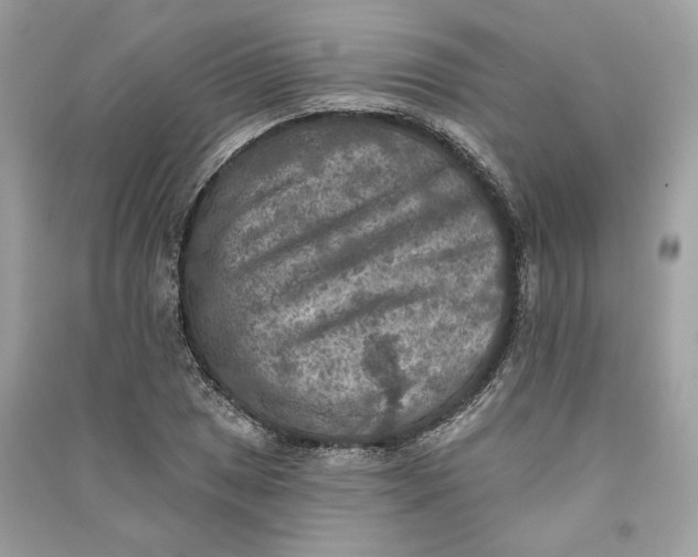 X0000090731025200708101635