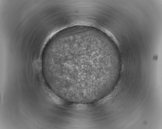 X0000090731027200708101635