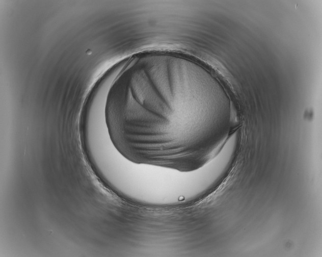 X0000090731030200708101635