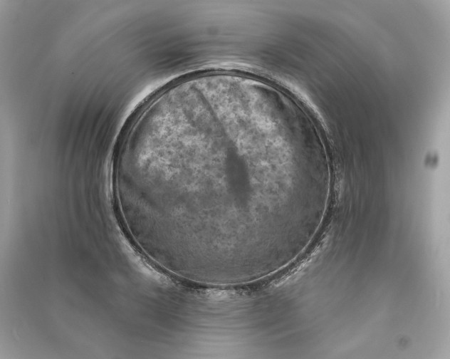 X0000090731032200708101635