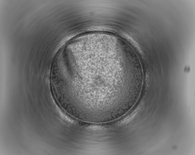 X0000090731033200708101635