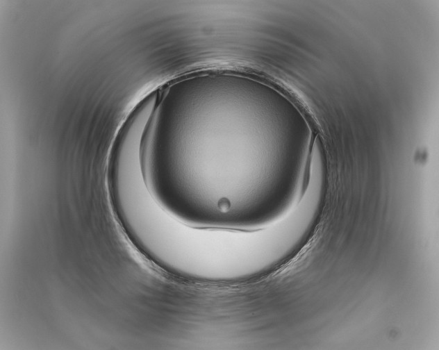 X0000090731034200708101635