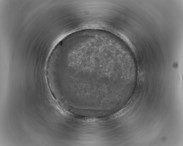 X0000090731035200708101635