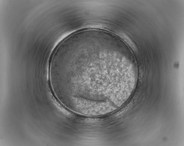 X0000090731036200708101635