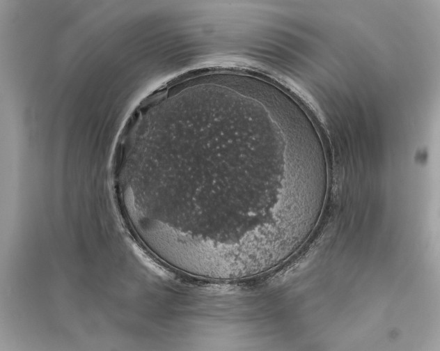 X0000090731037200708101635