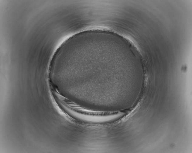 X0000090731038200708101635