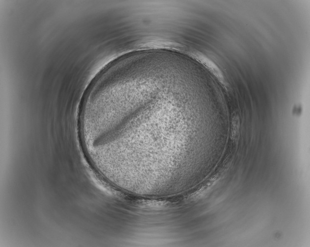 X0000090731039200708101635