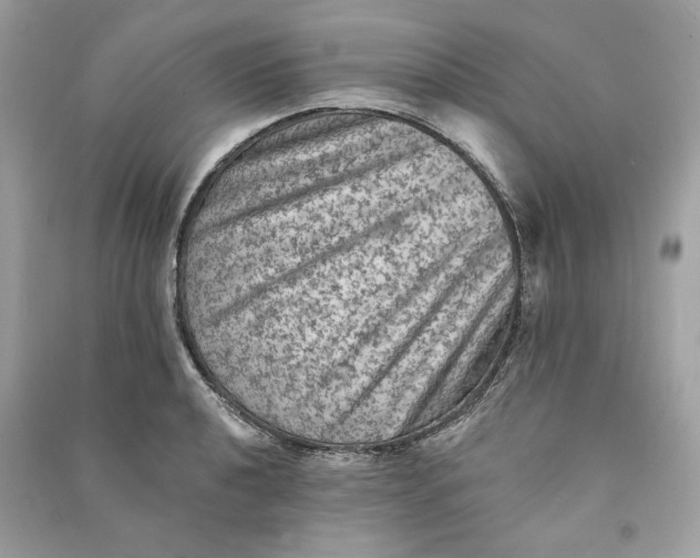 X0000090731040200708101635