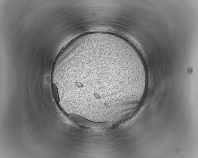 X0000090731041200708101635