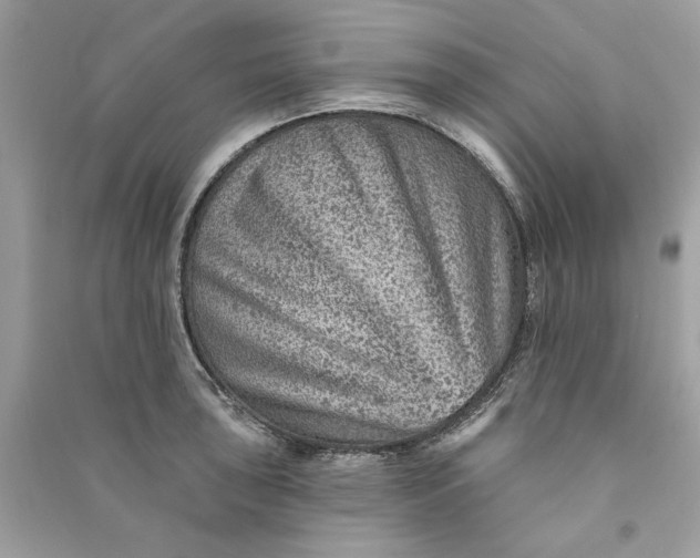 X0000090731043200708101635