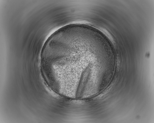 X0000090731044200708101635