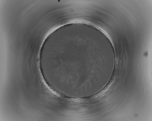 X0000090731045200708101635