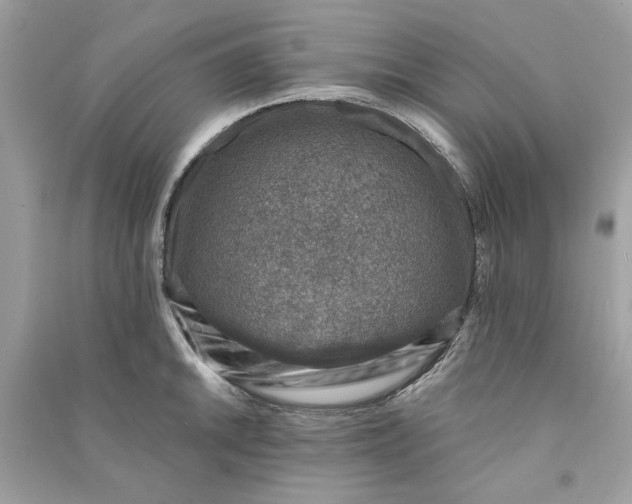 X0000090731046200708101635