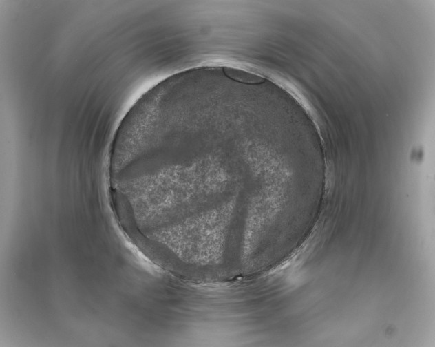 X0000090731048200708101635