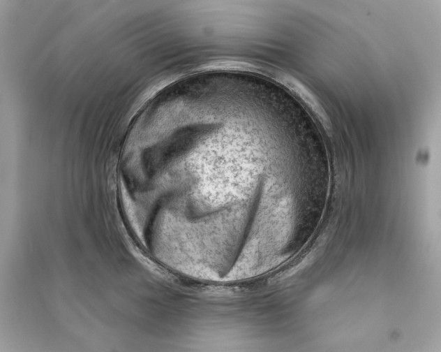 X0000090731049200708101635