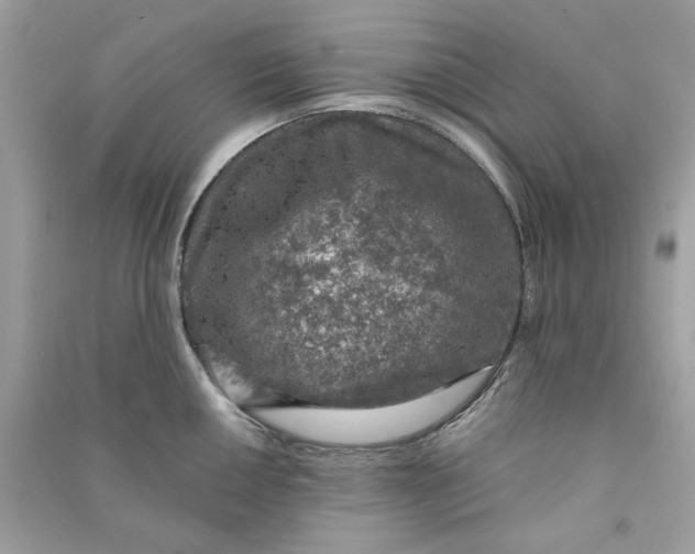 X0000090731050200708101635