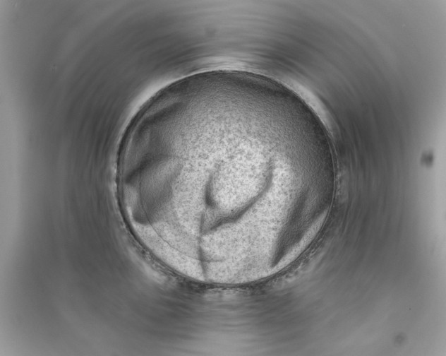 X0000090731051200708101635