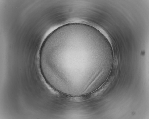 X0000090731053200708101635