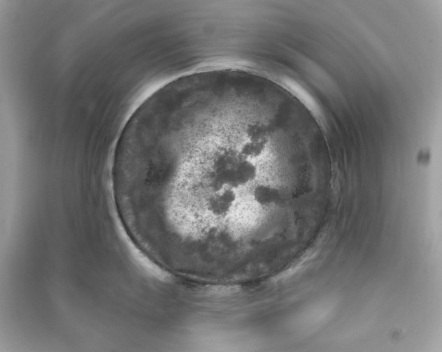 X0000090731055200708101635