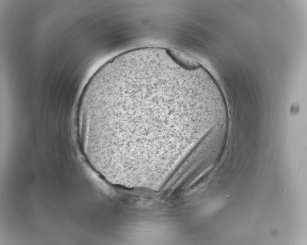 X0000090731056200708101635