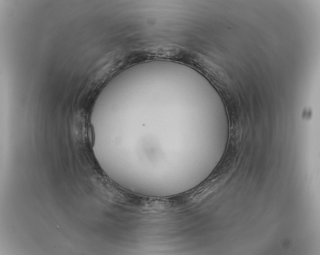 X0000090731058200708101634