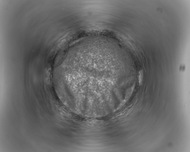 X0000090731059200708101634