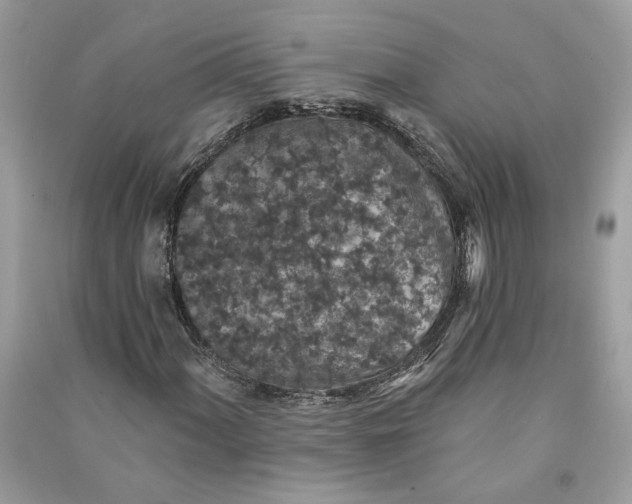 X0000090731060200708101634